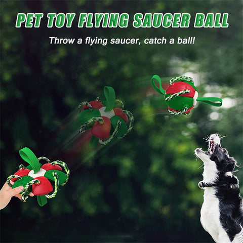 Image of Interactive Dog Football Soccer Ball With Tabs Inflated Training Toy Outdoor Border Collie Balls Pet Products
