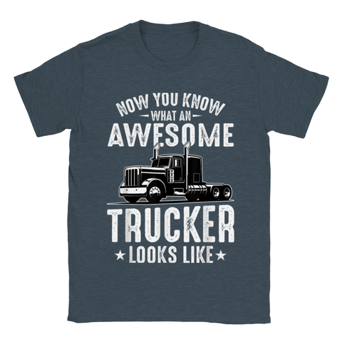 Image of Now Do you know an Awesome Trucker Look Like