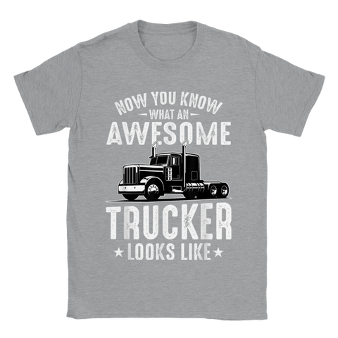 Image of Now Do you know an Awesome Trucker Look Like