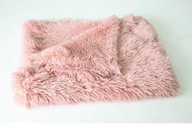 Image of Pet Dog Cat Blankets