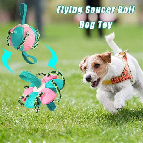 Image of Interactive Dog Football Soccer Ball With Tabs Inflated Training Toy Outdoor Border Collie Balls Pet Products