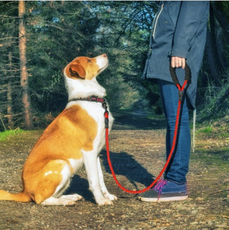 Image of Reflective Dog Leash Nylon Pet Dog Leash Rope For Small Medium Large Dogs Walking Training Pet Suppiles