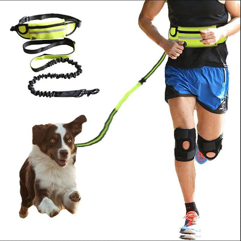Image of Hands Free Dog Leash Pet Walking And Training Belt With Shock Absorbing Bungee Leash For Up To 180lbs Large Dogs Phone Pocket And Water Bottle Holder
