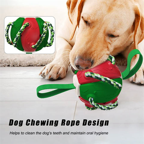 Image of Interactive Dog Football Soccer Ball With Tabs Inflated Training Toy Outdoor Border Collie Balls Pet Products