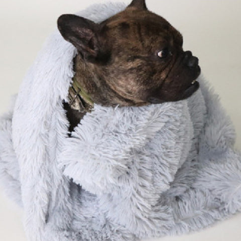 Image of Pet Dog Cat Blankets