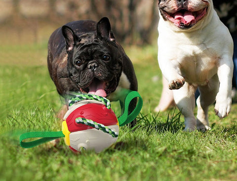 Image of Interactive Dog Football Soccer Ball With Tabs Inflated Training Toy Outdoor Border Collie Balls Pet Products
