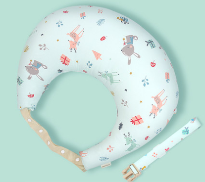 Image of Nursing Pillows
