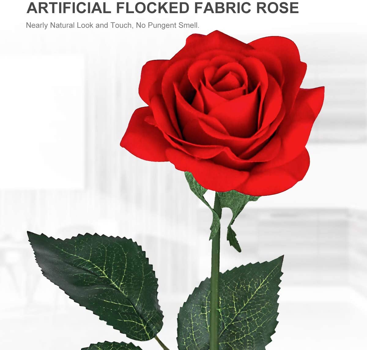 Rose Gift for Valentine's Day  
