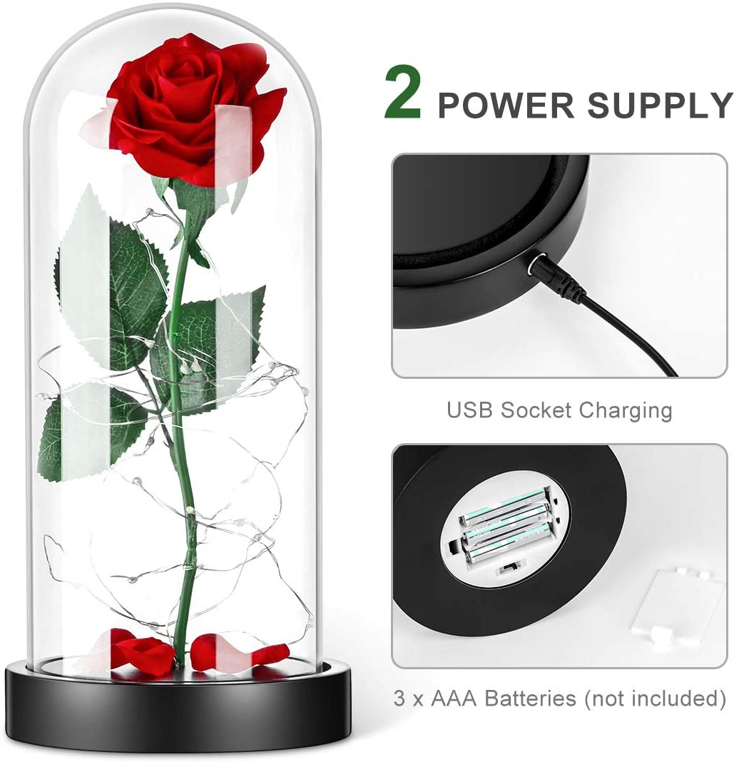Rose Gift for Valentine's Day  