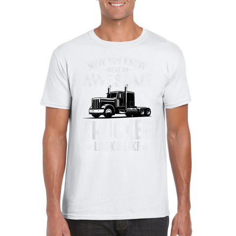 Image of Classic Unisex Crewneck T-shirt