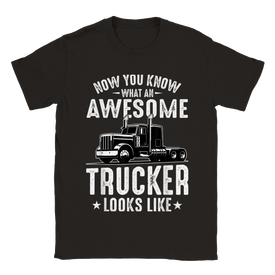 Classic Unisex Crewneck T-shirt