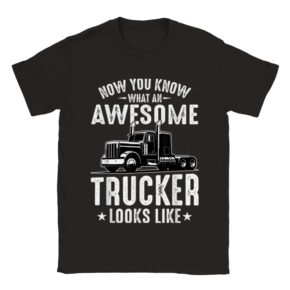 Now Do you know an Awesome Trucker Look Like