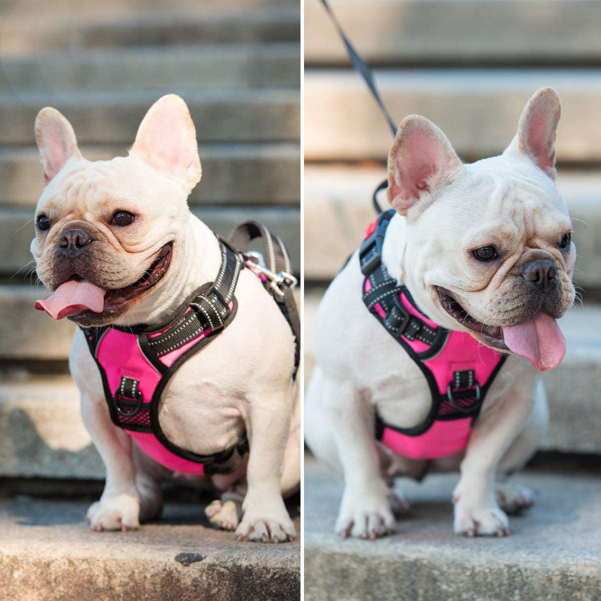 No Pull Dog Pet Harness Adjustable Control Vest Dogs Reflective XS S M Large XXL